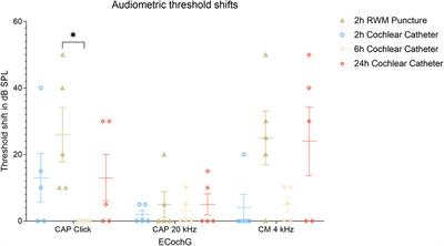 Investigation of inner ear drug delivery with a cochlear catheter in piglets as a representative model for human cochlear pharmacokinetics